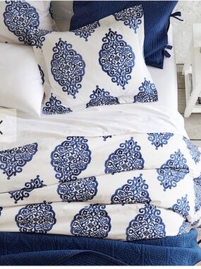 Pottery Barn Asher Medallion Duvet white Cover with Blue Medallion Print, king